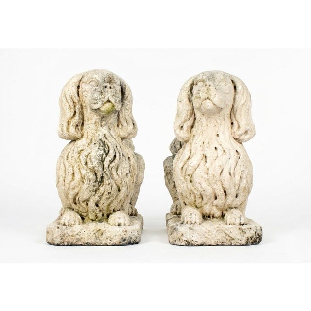 This exquisite pair of reclining King Charles Spaniels captures the soulful expression and regal stature characteristic of...
