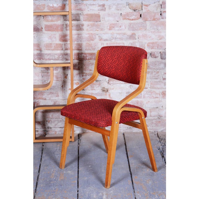 Mid-Century Czech Chairs in Maple attributed to Ludvik Volak for Drevopodnik Holesov, 1960s, Set of 6 For Sale - Image 6 of 18