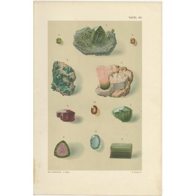 Antique Gemstone Prints with Diamond, Garnet & Tourmaline, Germany, 1900, Set of 4 For Sale - Image 6 of 9