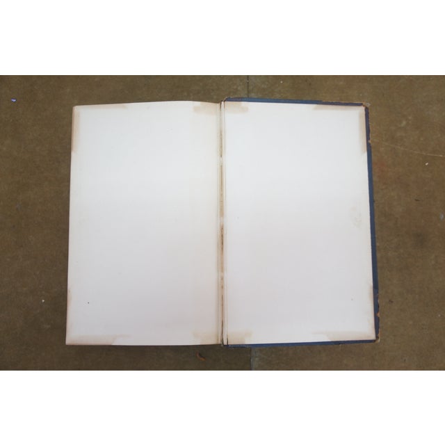 Antique 1890 Diseases of Children Alfred Vogel Appletons Medical Library Leather For Sale - Image 10 of 12