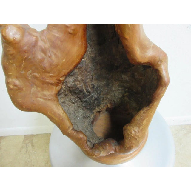 Vintage Mid Century Live Edge Free Form Hollow Log Table Lamp For Sale - Image 4 of 11