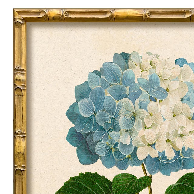 Various Artists Reproduction Framed Blue Hydrangea Giclee Print I For Sale - Image 4 of 4