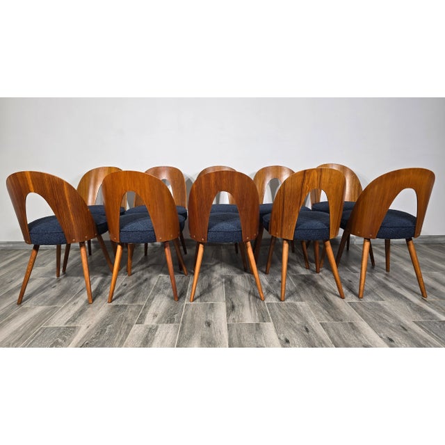 1960s Dining Chairs by Antonin Suman, 1960s, Set of 10 For Sale - Image 5 of 10