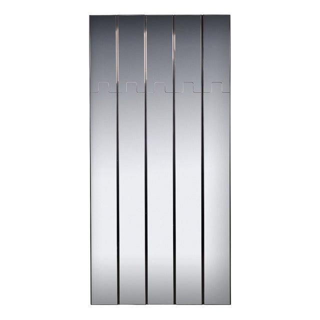 Vintage Italian Modular Gronda Mirror Coat Rack by Luciano Bertoncini for Elco, 1970 For Sale
