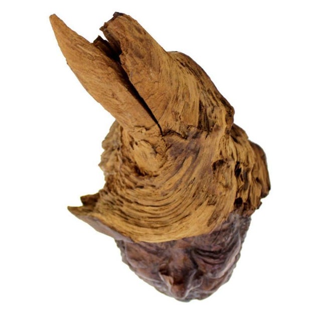 Wood Late 20th Century Very Fine Detailed Burl Wood Carving of an Elf or Gnome Face Wall Sculpture MINT For Sale - Image 7 of 10