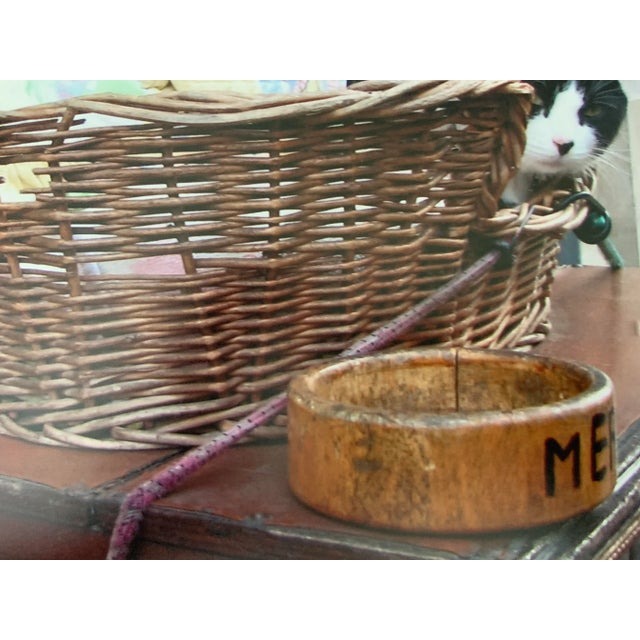 1990s "Cats at Portobello Market, London" Contemporary Street Photograph Print by Louise Weinberg For Sale - Image 5 of 6