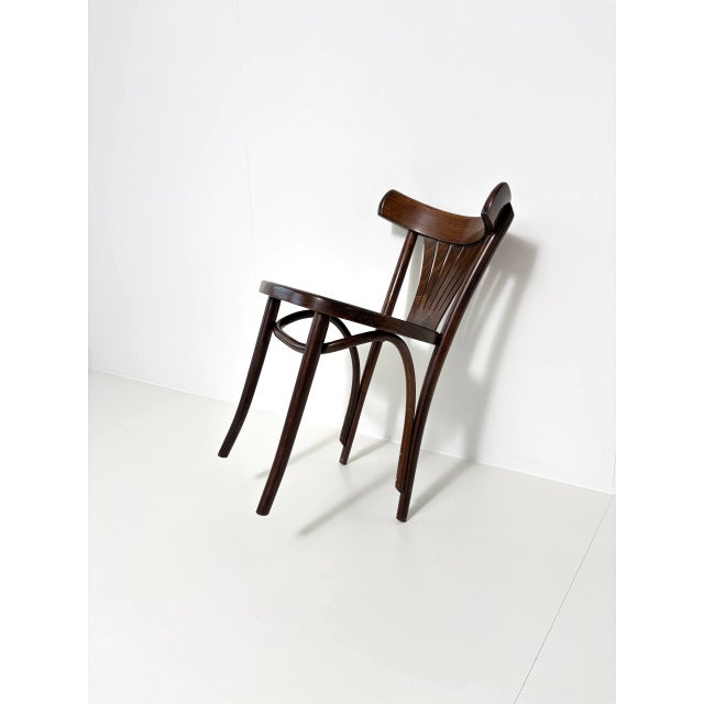 Vintage Bentwood Fan Chairs from ZPM Radomsko, Poland, 1970s For Sale - Image 15 of 18