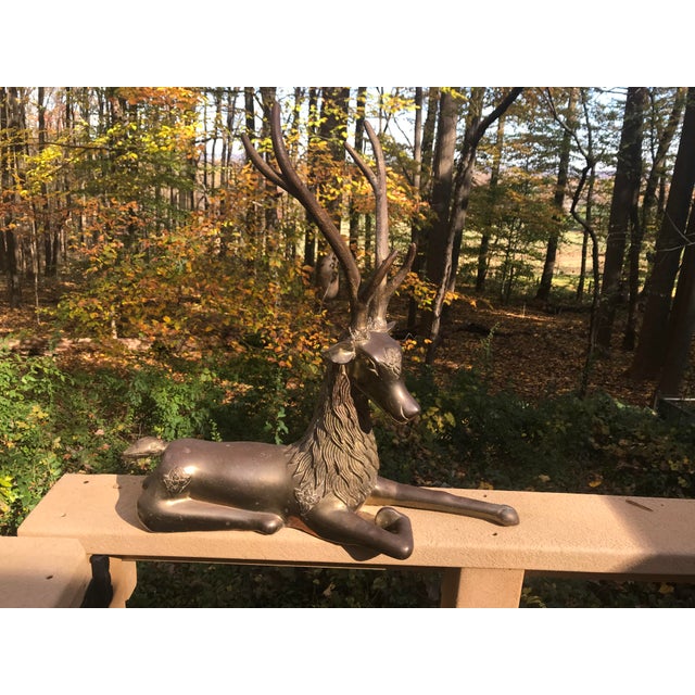 Reclining Reindeer Statue Solid Brass Chairish