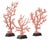 Made of composite, the Red Coral Branches Large Set fools the eye into thinking they are composed of the natural materials...