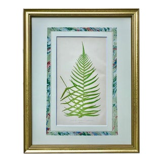 Antique Botanical Lithograph Fern Print by Edward J. Lowe 19th C. London 1867 For Sale