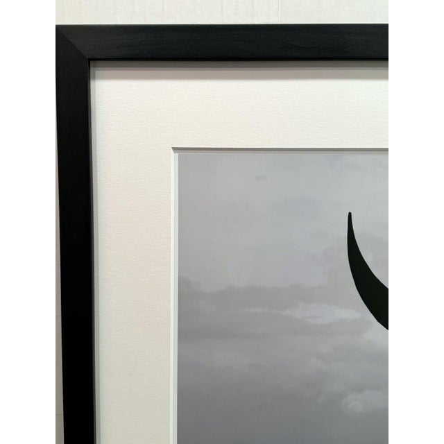 Paper "Moon Birth" (Framed) Photography 24" X 24" in Ed. 5/15 by Olha Stepanian For Sale - Image 7 of 10