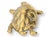 Midcentury English Brass Turtle Paperweight For Sale - Image 4 of 5