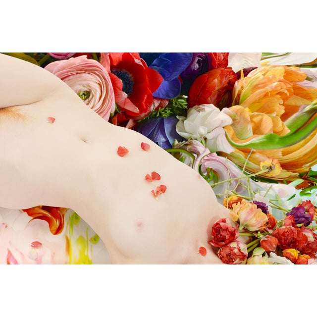 Not Yet Made - Made To Order Flora 01, Photograph, Floral, 2015 For Sale - Image 5 of 5