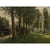 Realism Antique Belgian Oil on Canvas Painting “Cows Grazing” by Xavier Wurth (1869-1933) For Sale - Image 3 of 15