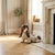 Mid-Century Italian Hand-Glazed Majolica Reclining Basset Hound Statue For Sale - Image 12 of 12