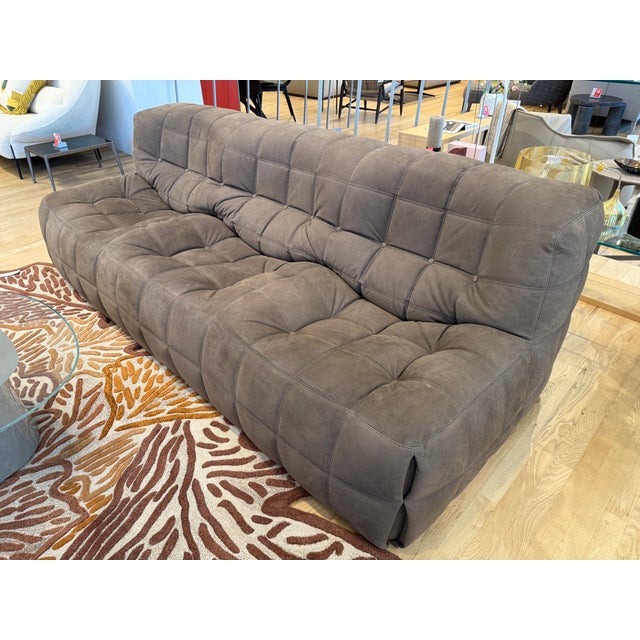 Ligne Roset Kashima Sofa For Sale In Des Moines, IA - Image 6 of 8