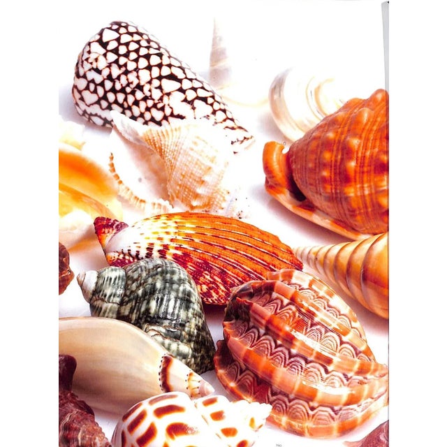 Property From the Collection of Mrs. Charles Wrightsman the London Residence 2010 Sotheby's New York For Sale - Image 9 of 18