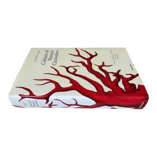Vintage Albertus Seba “Cabinet of Natural Curiosities” Coffee Table Book by Taschen For Sale