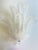 Glass Venetian Transparent “Graniglia” Leaves” Murano Glass Wall Sconce by Simoeng For Sale - Image 7 of 7