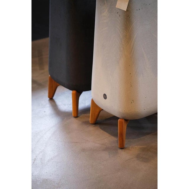 Terra Through Black Planter with Natural Wood Base by Indigenus For Sale - Image 6 of 12