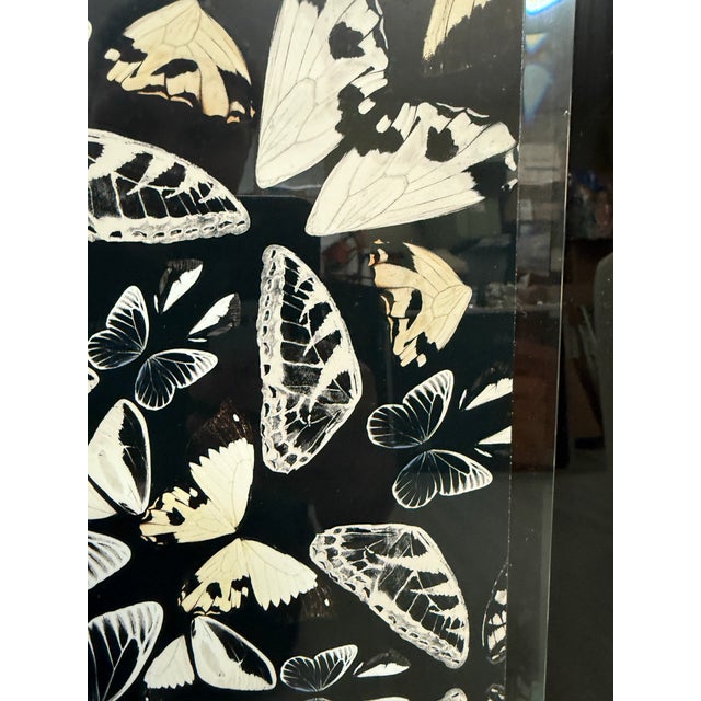 Design Plus Gallery presents a Butterfly Print Artwork from Laitan Home Decorations. The art is visually captivating with...