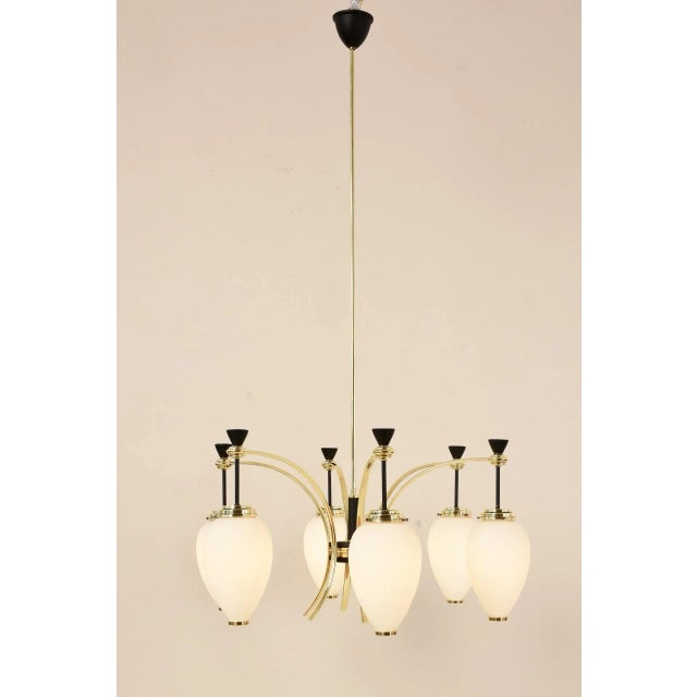 6-Light Chandelier by Bruno Gatta for Stilnovo, 1950s For Sale - Image 14 of 14