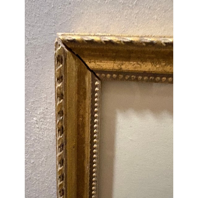 Paper Framed 19th C Hand Colored Engravings of Insects, Reptiles and Shells For Sale - Image 7 of 9
