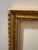 Paper Framed 19th C Hand Colored Engravings of Insects, Reptiles and Shells For Sale - Image 7 of 9