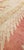 Antique Oushak Carpet, Handmade Turkish Oriental Rug, Beige, Coral, Soft Colors For Sale - Image 10 of 18