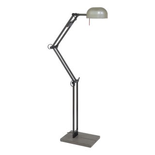 Adone Floor Lamp by C. P. & P. R. Associati for Artemide, 1980s For Sale