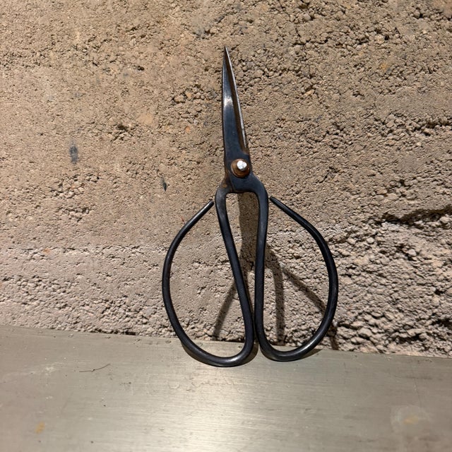 1950s Traditional Pair of Forged Carbon Steel Loop-Handled Shears Chinese Bonsai For Sale - Image 5 of 15