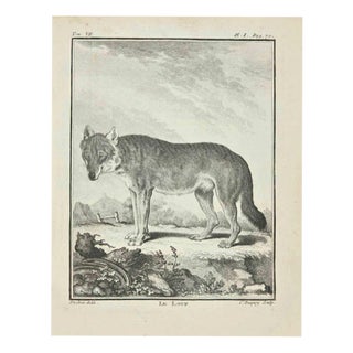 Jean Charles Baquoy, Le Loup, 1771, Etching For Sale