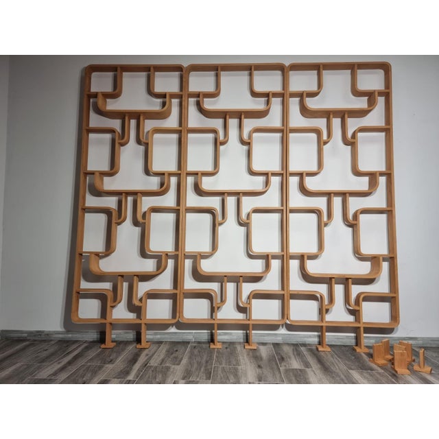 Room Dividers by Ludvik Volak for Drevopodnik Holesov, 1950s, Set of 3 For Sale - Image 11 of 11