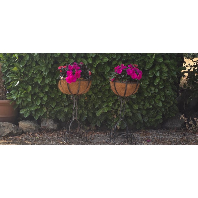 Very good pair of wrught iron basket planters, in excellent overall condition. 31" high 14" diameter