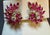3 Ct Natural Marquise Ruby & 0.70 Ct Diamond Clip on Earring 18 KYG For Sale - Image 9 of 18