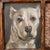 An oil on canvas portrait painting of a pit bull dog. Framed. unsigned.