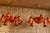 Orange Art Nouveau Chandeliers in Bronze and Orange Glass Paste, 1950s, Set of 2 For Sale - Image 8 of 9