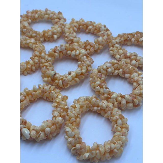 Natural Shell Napkin Ring Holder - Set of 9 For Sale - Image 4 of 5