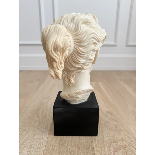 1970s 1970s Large A. Santini "Diana the Huntress" Marble Composite Bust From Italy– 13.5" – Single-Family Provenance For Sale - Image 5 of 9