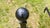 Bradley & Hubbard Mfg. Co. (1852–1940) cannonball andirons are high-quality, late 19th to early 20th-century American...