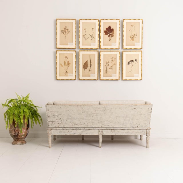 18th Century Swedish Gustavian Period Painted Sofa 'Trägsoffa' For Sale - Image 13 of 13