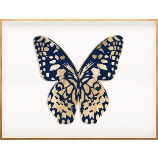 Butterfly Royale, Blue 1 Framed Artwork For Sale