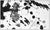 Mid 20th Century Mid 20th Century Untitled (L.232; SF.241), Sam Francis For Sale - Image 5 of 7