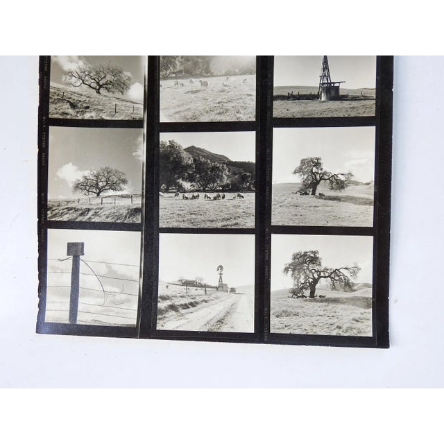 Vintage California Fine Art Photograph Contact Sheet Farm For Sale In Seattle - Image 6 of 7
