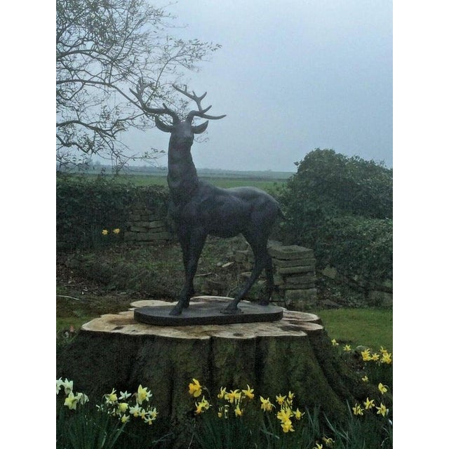 2000 - 2009 Life-Size Cast Iron Stag Garden Sculpture with Antlers For Sale - Image 5 of 7