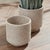 Early 21st Century Burma Rattan Cachepots Large, Set Of 2 For Sale - Image 5 of 6