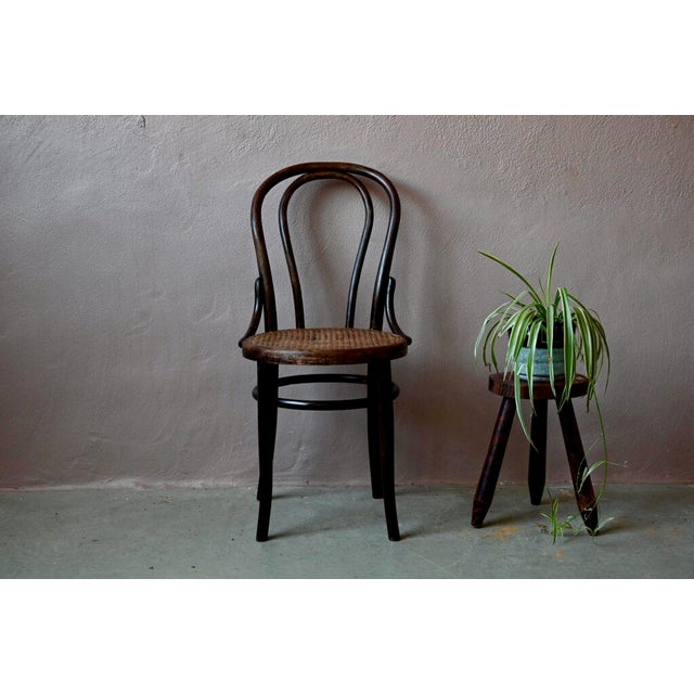 N°18 Chairs in Bentwood, Set of 2 For Sale - Image 14 of 14