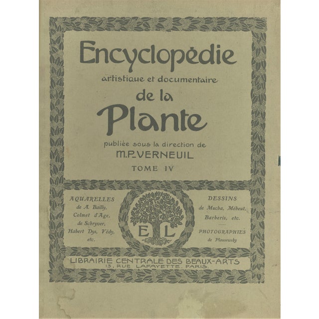 1902 Antique French Botanical Photgoraph Lithograph Arum Lily, With Documentation For Sale - Image 4 of 4