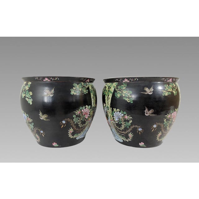 Nyonya Straits Chinese Porcelain Planters, Jardinieres, Famille Noire Black With Goldfish & Phoenix Birds, a Pair, Rosewood Stands, Early 20th Century For Sale - Image 4 of 12