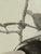 Off-white Larry Haines Loggerhead Shrike Series Bird Study Drawing, Framed For Sale - Image 8 of 12